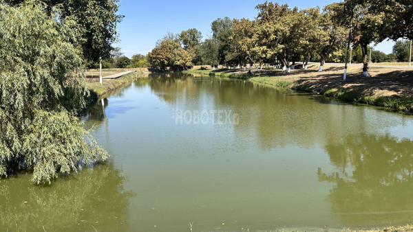 Продам двухкомнатную (2-комн.) квартиру, Центральная ул, 2, Южный п