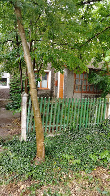 Продам многокомнатную квартиру, Центральная ул, 13, Косточковка с