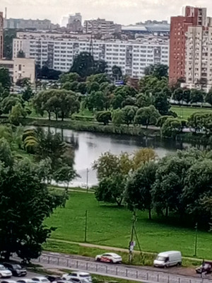 Продам однокомнатную (1-комн.) квартиру, Южное ш, 51к3, Санкт-Петербург г