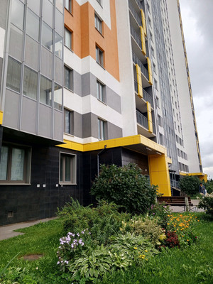 Продам однокомнатную (1-комн.) квартиру, Южное ш, 51к3, Санкт-Петербург г