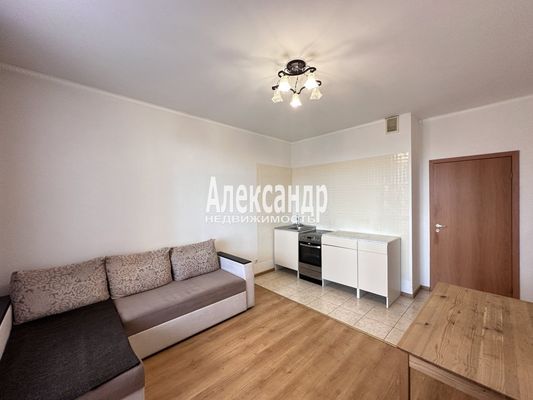 Продам однокомнатную (1-комн.) квартиру, Арсенальная ул, 4, Новое Девяткино д