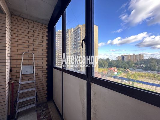 Продам однокомнатную (1-комн.) квартиру, Арсенальная ул, 4, Новое Девяткино д