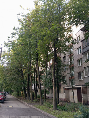 Продам однокомнатную (1-комн.) квартиру, Звёздная ул, 4А, Санкт-Петербург г