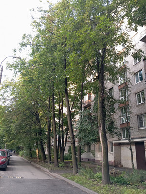 Продам однокомнатную (1-комн.) квартиру, Звёздная ул, 4А, Санкт-Петербург г