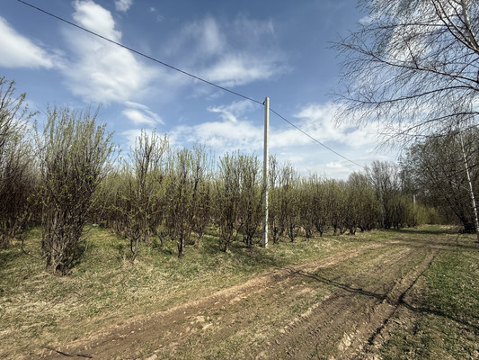 Продам участок 30 соток, Фермерское хоз., 1-я Дачная ул, Веслево д, 0 км от города