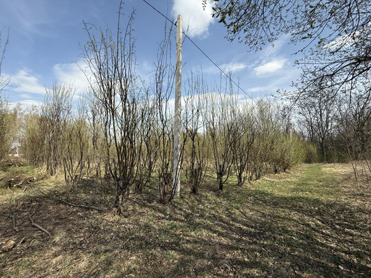Продам участок 30 соток, Фермерское хоз., 1-я Дачная ул, Веслево д, 0 км от города