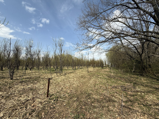 Продам участок 30 соток, Фермерское хоз., 1-я Дачная ул, Веслево д, 0 км от города