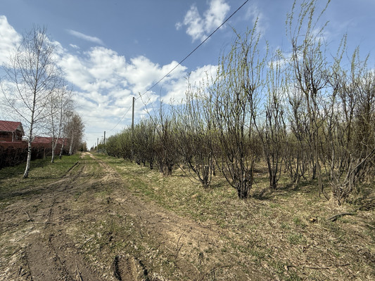 Продам участок 30 соток, Фермерское хоз., 1-я Дачная ул, Веслево д, 0 км от города