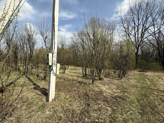 Продам участок 30 соток, Фермерское хоз., 1-я Дачная ул, Веслево д, 0 км от города