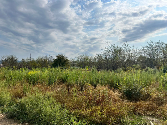 Продам участок 10 соток, ИЖС, Кленовая ул, Апшеронск г, 0 км от города