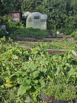 Продам двухкомнатную (2-комн.) квартиру, Дружбы ул, 1, Стеклянный п