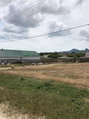 Продам участок 8 соток, ИЖС, Достлук ул, 13, Наниково с, 0 км от города