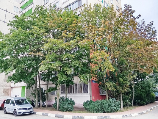 Продам трехкомнатную (3-комн.) квартиру, Чугунова ул, 22, Раменское г