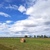 Продам участок 64 454 соток, Фермерское хоз., Каминское с, 38 км от города
