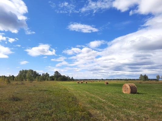 Продам участок 64 454 соток, Фермерское хоз., Каминское с, 38 км от города