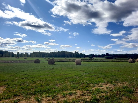 Продам участок 64 454 соток, Фермерское хоз., Каминское с, 38 км от города