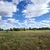 Продам участок 64 454 соток, Фермерское хоз., Каминское с, 38 км от города