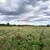 Продам участок 64 454 соток, Фермерское хоз., Каминское с, 38 км от города