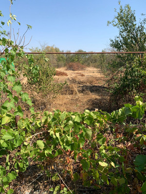 Продам участок 15 соток, ИЖС, Советская ул, Великовечное с, 0 км от города