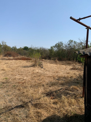 Продам участок 15 соток, ИЖС, Советская ул, Великовечное с, 0 км от города