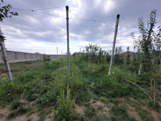 Продам участок 20 соток, ИЖС, Дышекова Х.Х. ул, Баксан г, 0 км от города