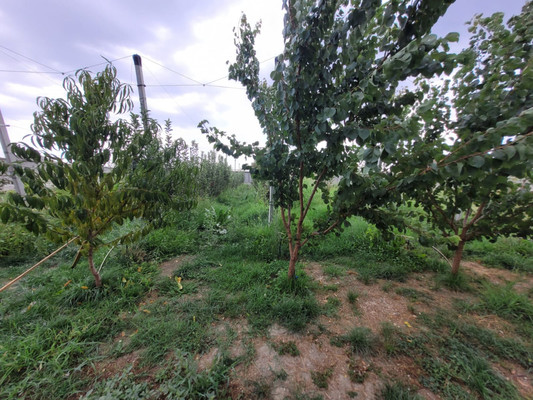 Продам участок 20 соток, ИЖС, Дышекова Х.Х. ул, Баксан г, 0 км от города