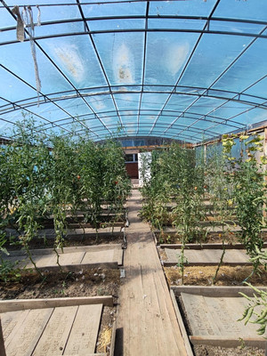 Продам дом, Морская ул, 19, Займо-Обрыв с, 0 км от города