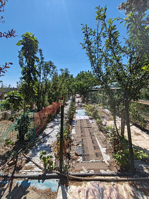 Продам дом, Морская ул, 19, Займо-Обрыв с, 0 км от города