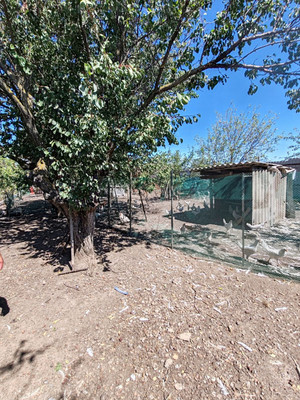 Продам дом, Морская ул, 19, Займо-Обрыв с, 0 км от города