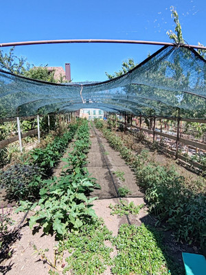 Продам дом, Морская ул, 19, Займо-Обрыв с, 0 км от города