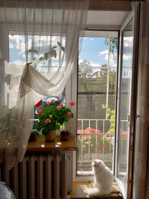 Продам трехкомнатную (3-комн.) квартиру, Ленинградская ул, 71А, Пушкин г