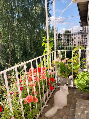 Продам трехкомнатную (3-комн.) квартиру, Ленинградская ул, 71А, Пушкин г