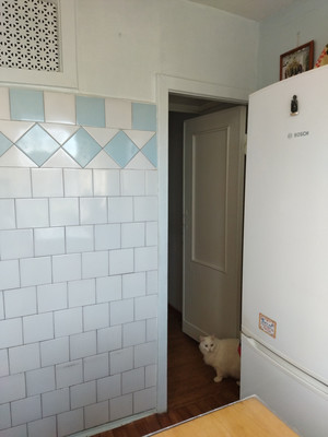 Продам трехкомнатную (3-комн.) квартиру, Ленинградская ул, 71А, Пушкин г