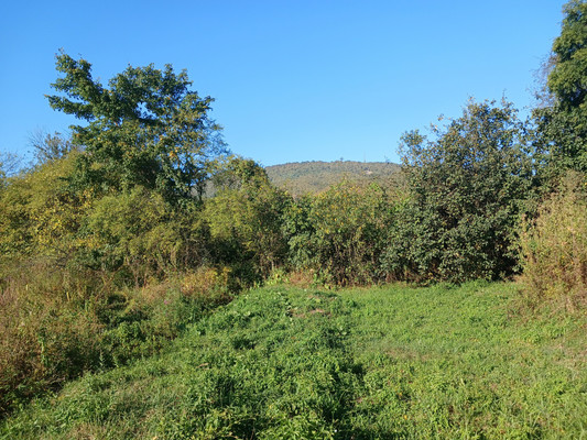 Продам дом, Речная ул, 5, Шаумян с, 0 км от города