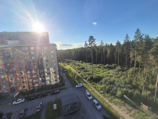 Продам двухкомнатную (2-комн.) квартиру, Гладышевский пр-кт, 38к3, Санкт-Петербург г