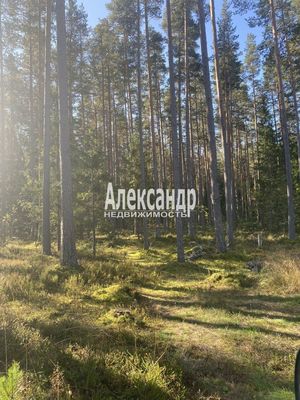 Продам участок 10 соток, Садоводство, Мыс п, 120 км от города