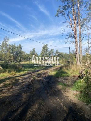 Продам участок 10 соток, Садоводство, Мыс п, 120 км от города