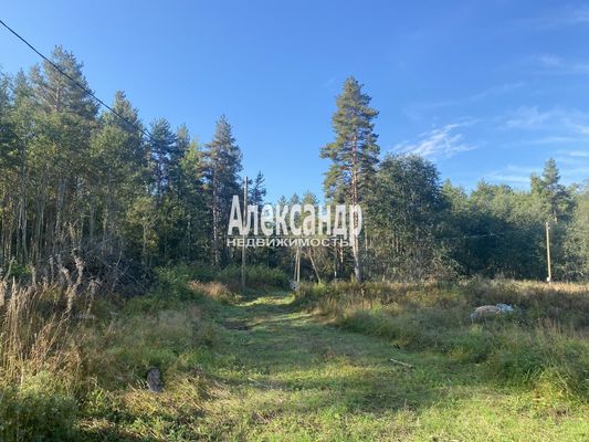 Продам участок 10 соток, Садоводство, Мыс п, 120 км от города