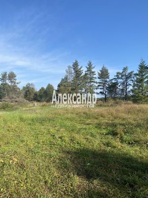 Продам участок 10 соток, Садоводство, Мыс п, 120 км от города