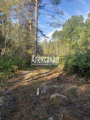 Продам участок 10 соток, Садоводство, Мыс п, 120 км от города