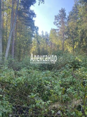 Продам участок 10 соток, Садоводство, Мыс п, 120 км от города