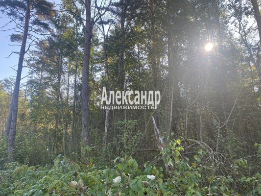 Продам участок 10 соток, Садоводство, Мыс п, 120 км от города