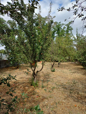 Продам дом, 6, Верхнесеребряковка сл, 0 км от города