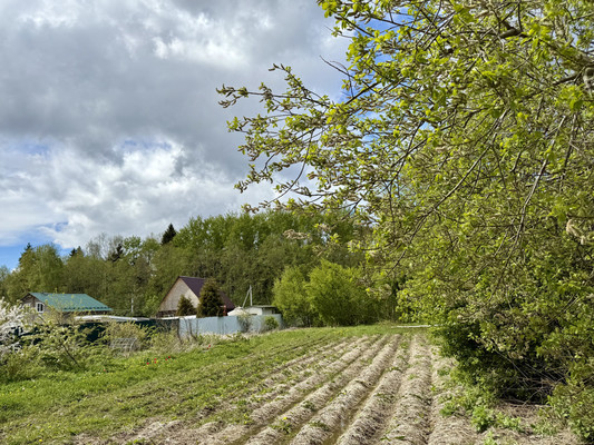 Продам участок 14 соток, ИЖС, Новосиньково п, 0 км от города
