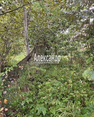Продам участок 618 соток, Садоводство, поселок СНТ &amp;quot;Дозовец&amp;quot;, Сосновый (Дачное тер. СНТ) пер, 22, Горы-1 массив, 40 км от города