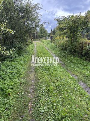 Продам участок 618 соток, Садоводство, поселок СНТ &amp;quot;Дозовец&amp;quot;, Сосновый (Дачное тер. СНТ) пер, 22, Горы-1 массив, 40 км от города