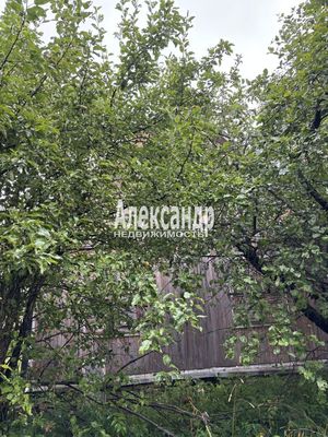 Продам участок 618 соток, Садоводство, поселок СНТ &amp;quot;Дозовец&amp;quot;, Сосновый (Дачное тер. СНТ) пер, 22, Горы-1 массив, 40 км от города