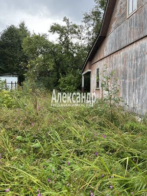 Продам участок 618 соток, Садоводство, поселок СНТ &amp;quot;Дозовец&amp;quot;, Сосновый (Дачное тер. СНТ) пер, 22, Горы-1 массив, 40 км от города