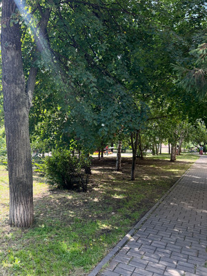 Продам двухкомнатную (2-комн.) квартиру, Курашова ул, 20, Казань г