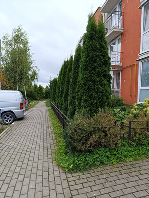 Продам двухкомнатную (2-комн.) квартиру, Изумрудная ул, 19, Голубево п